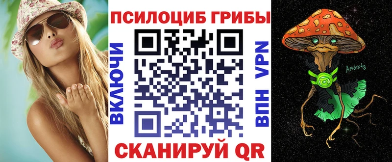Псилоцибиновые грибы Psilocybe  Чадан 