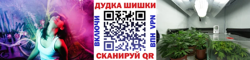 Бошки марихуана семена  где купить   Чадан 
